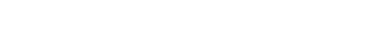 Horizontal logo white